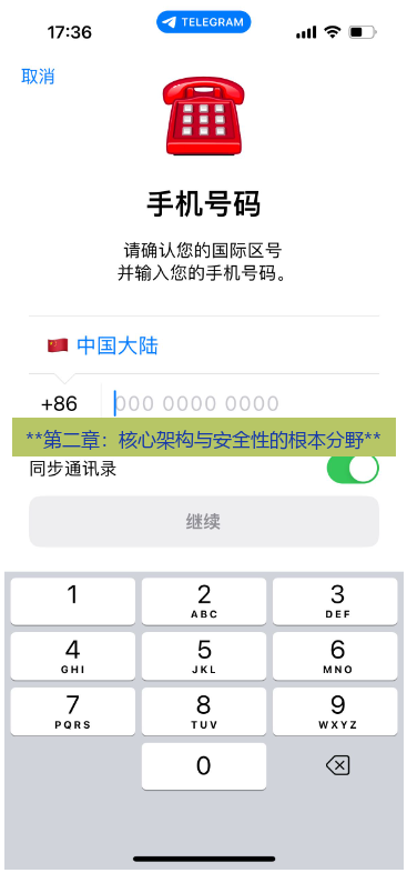 电报中文 **第二章：核心架构与安全性的根本分野**